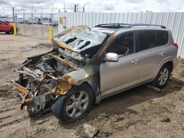 2011 Toyota Rav4 Limited VIN: 2T3DF4DV8BW144830 Lot: 53670744