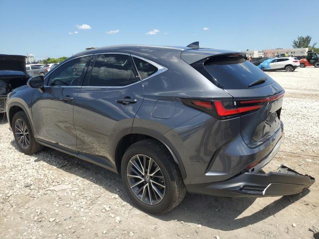 2023 LEXUS NX 250 2T2ADCAZXPC005645