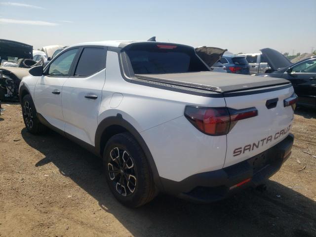 2023 Hyundai Santa Cruz Sel VIN: 5NTJBDAE8PH044519 Lot: 53050034