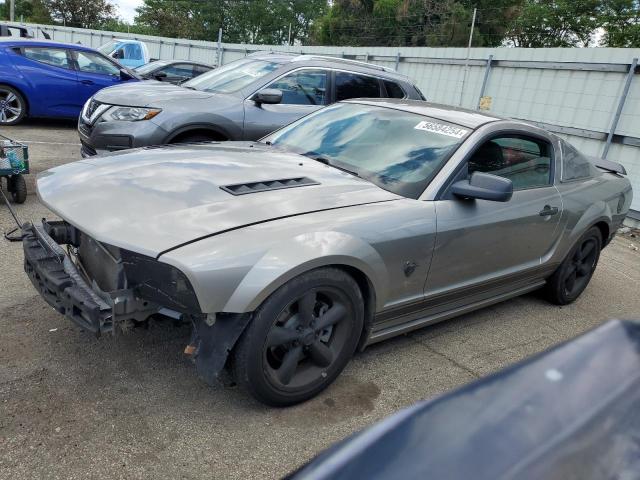 2009 Ford Mustang Gt VIN: 1ZVHT82H495126922 Lot: 56584254