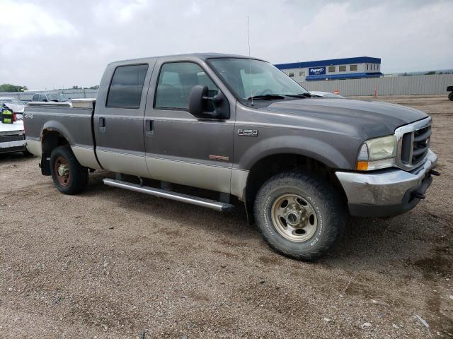 2004 Ford F250 Super Duty VIN: 1FTNW21P94ED63479 Lot: 55656084