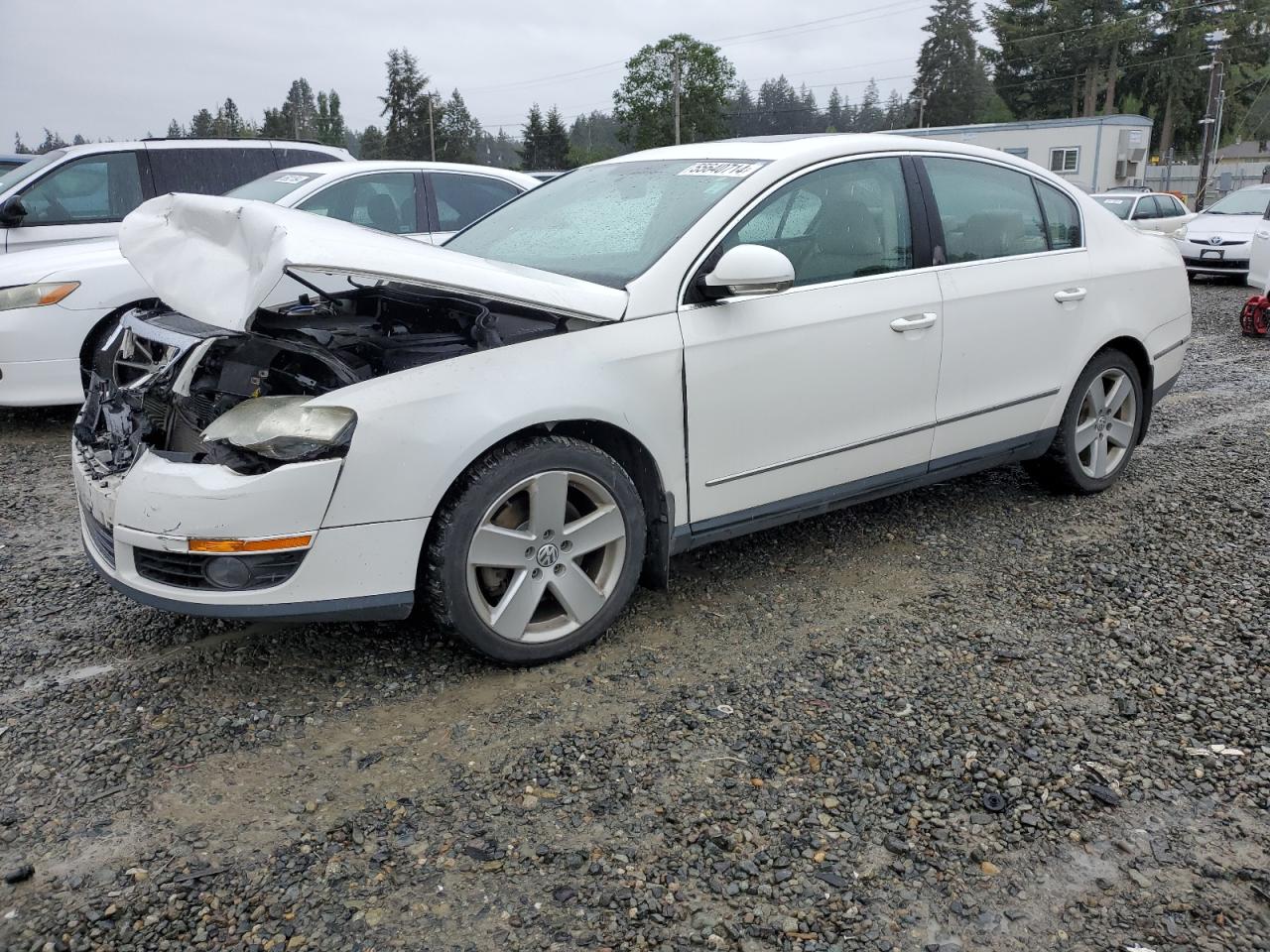 WVWJK93C39P057046 2009 Volkswagen Passat Turbo