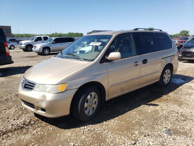 2002 Honda Odyssey Exl VIN: 2HKRL18082H557785 Lot: 49790674