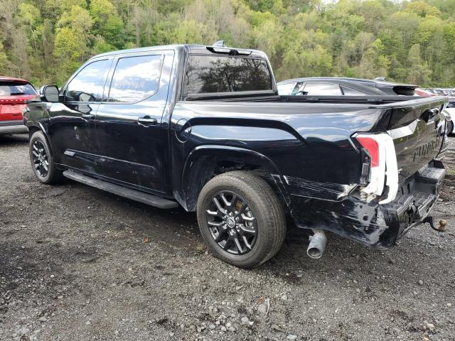 2023 Toyota Tundra Crewmax Platinum VIN: 5TFNA5DB7PX081656 Lot: 53439404