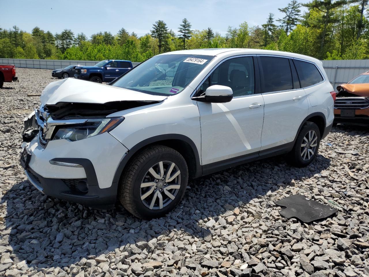 2021 Honda Pilot Exl vin: 5FNYF6H55MB029862