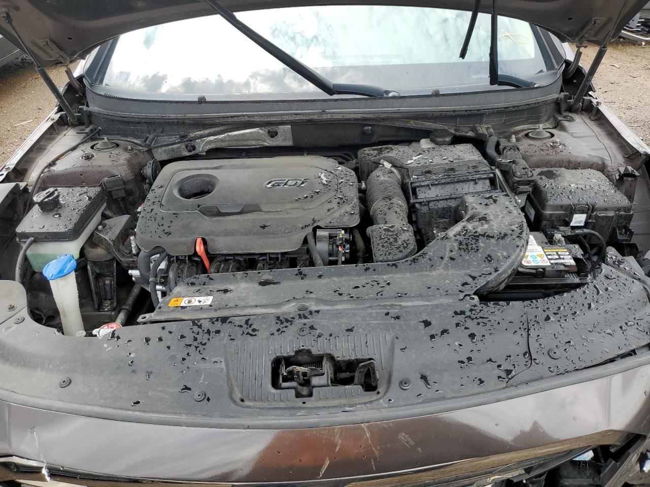 5NPE34AF4FH226450 2015 Hyundai Sonata Sport