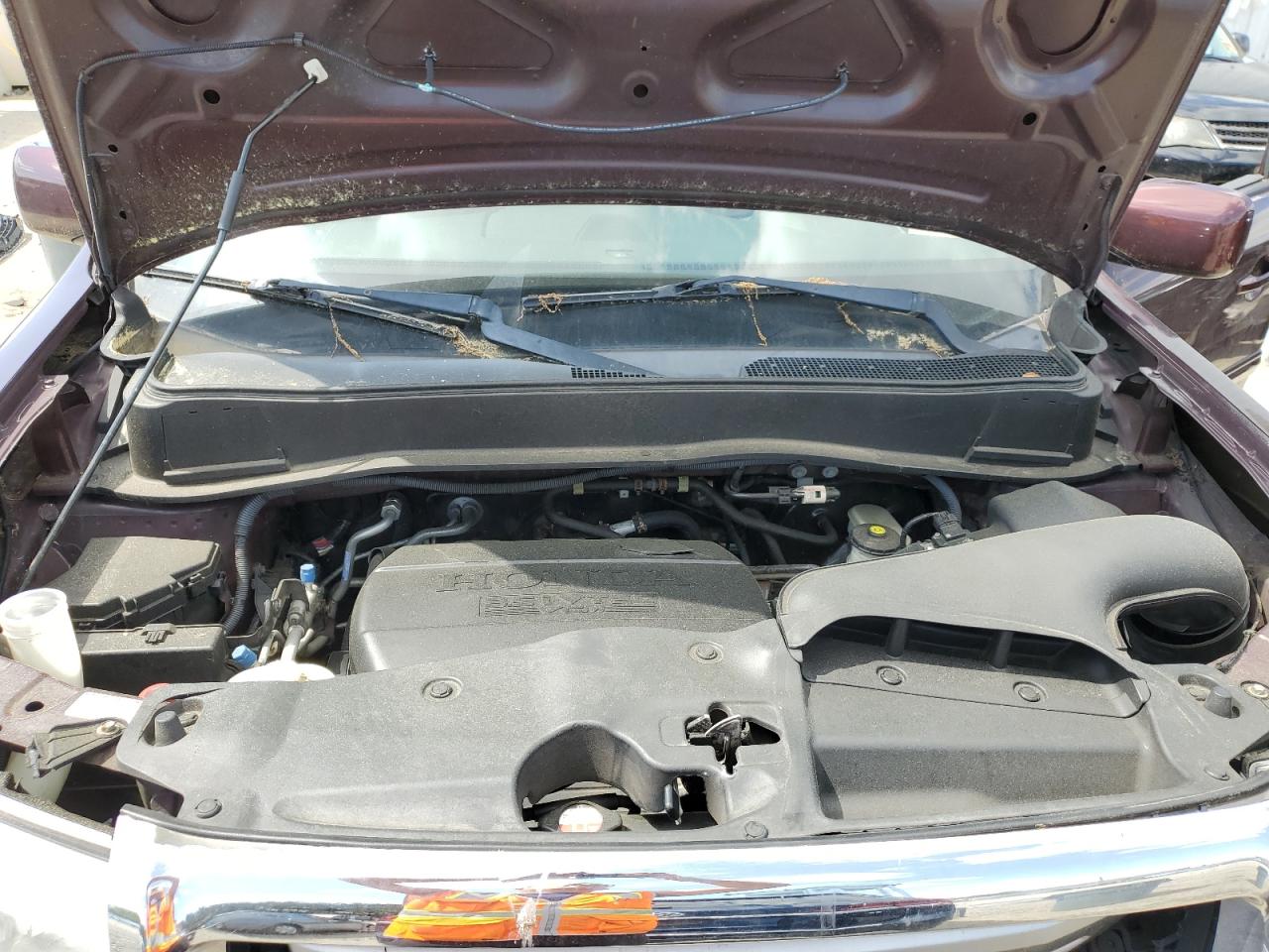 5FNYF4H64AB021390 2010 Honda Pilot Exl