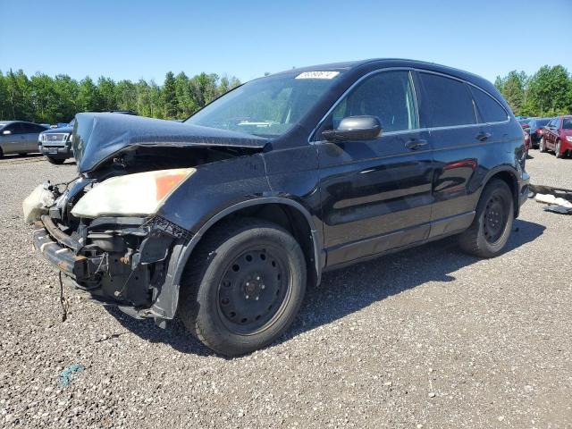 2007 Honda Cr-V Exl VIN: 5J6RE48757L812298 Lot: 56390674