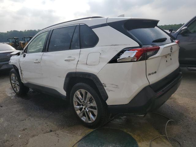 2019 Toyota Rav4 Xle Premium VIN: JTMC1RFV7KD507040 Lot: 54234764