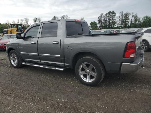 2010 Dodge Ram 1500 VIN: 1D7RV1CT0AS116315 Lot: 54274954