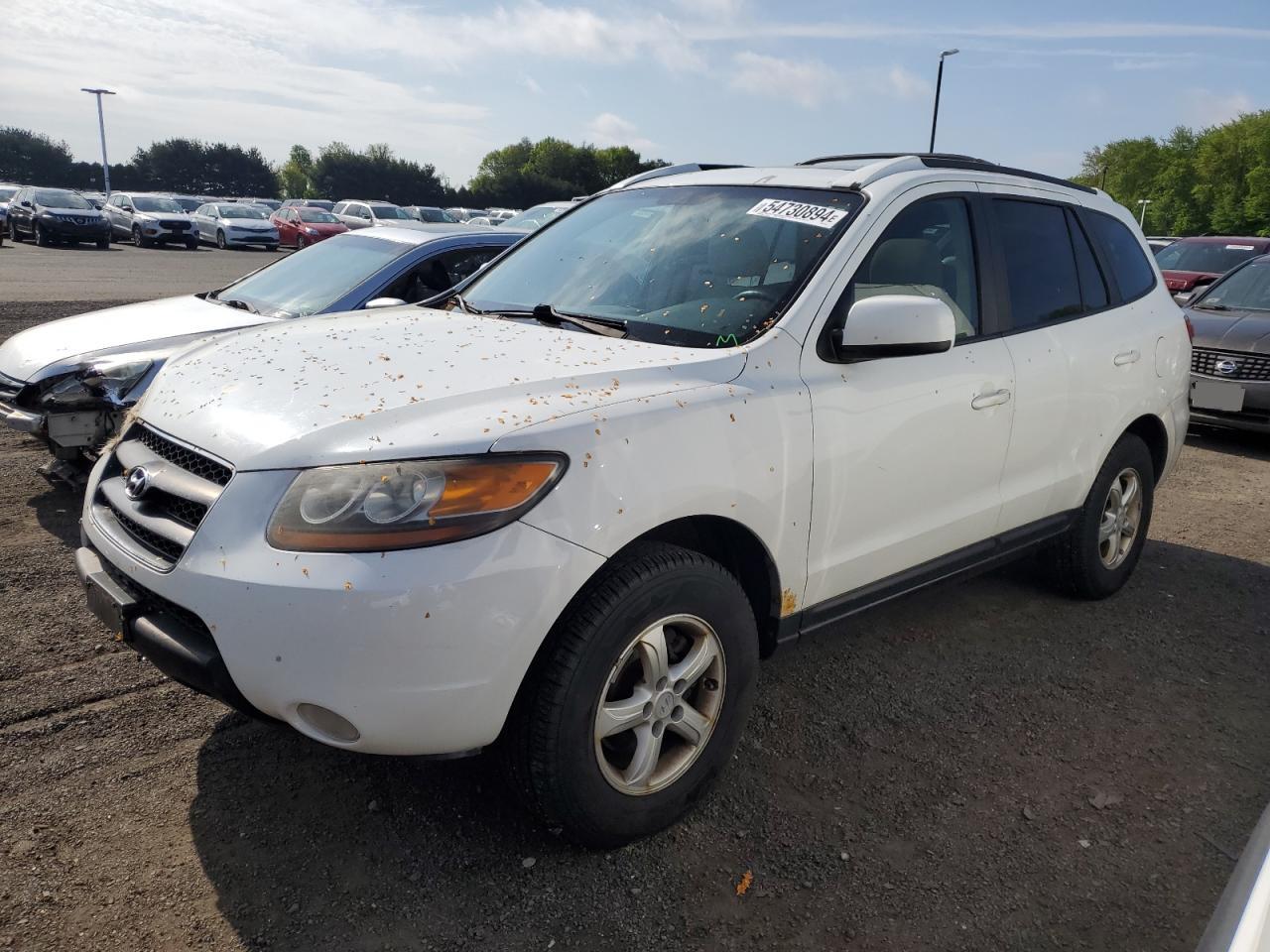 5NMSG73D57H056389 2007 Hyundai Santa Fe Gls