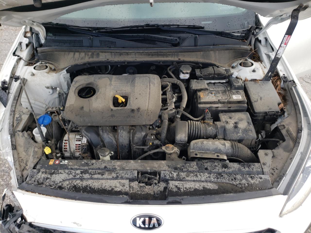 3KPF24AD5KE133036 2019 Kia Forte Fe