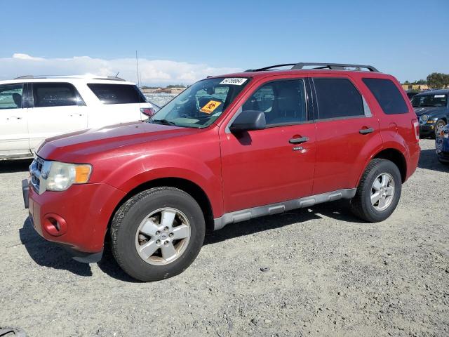 2010 Ford Escape Xlt VIN: 1FMCU0DG1AKB96475 Lot: 54759964