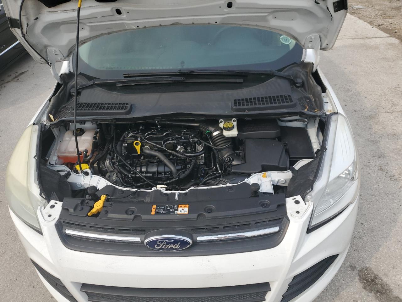 2014 Ford Escape Se vin: 1FMCU0GX7EUB55225