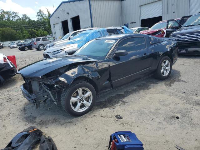 2012 Ford Mustang VIN: 1ZVBP8AM8C5262020 Lot: 56567244