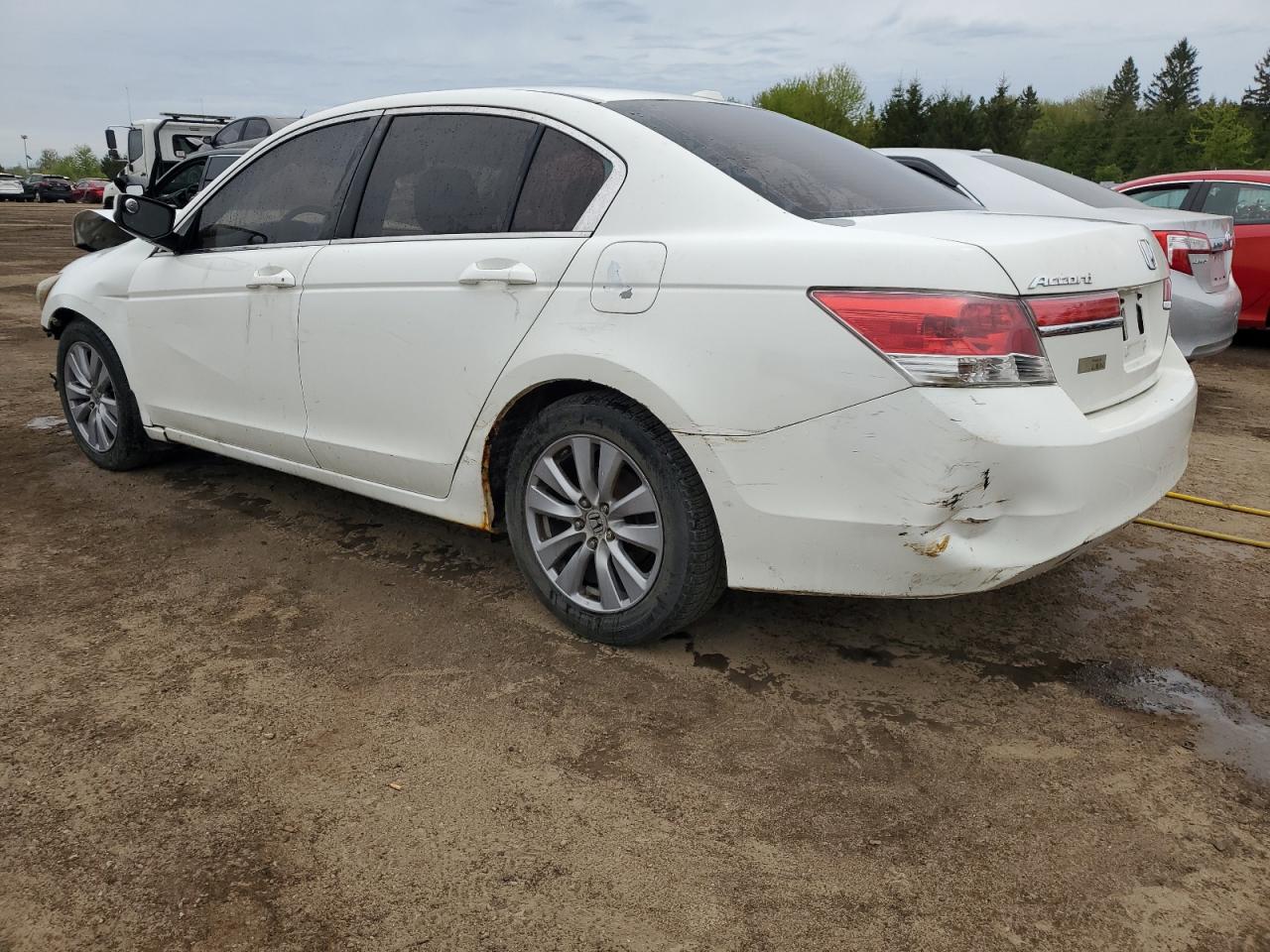 1HGCP2F84BA800431 2011 Honda Accord Exl