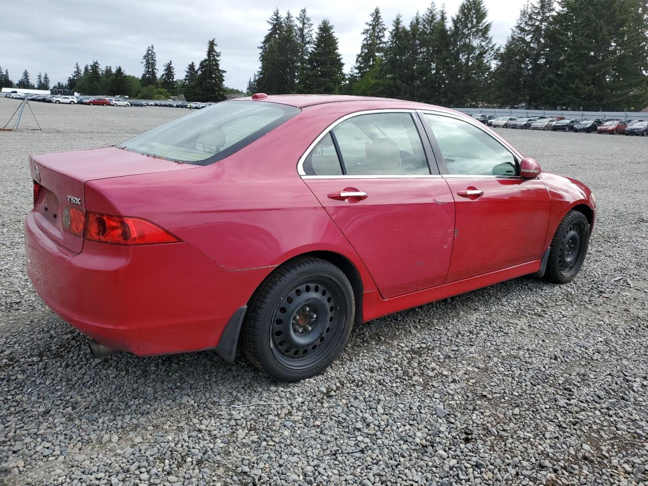 JH4CL96846C030565 2006 Acura Tsx