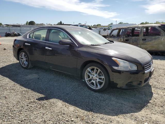 2011 Nissan Maxima S VIN: 1N4AA5AP1BC802817 Lot: 56534704