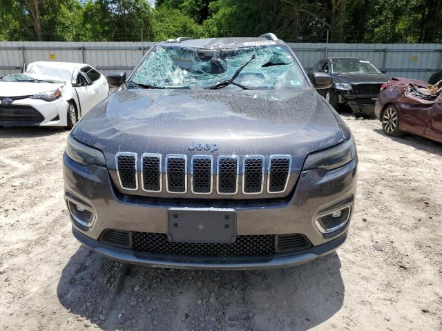 2019 Jeep Cherokee Limited VIN: 1C4PJMDN5KD320595 Lot: 55748434