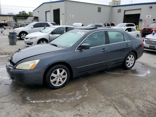 2005 Honda Accord Ex VIN: 1HGCM665X5A061401 Lot: 53700824