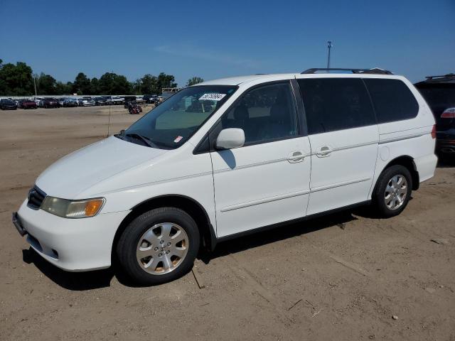 2004 Honda Odyssey Exl VIN: 5FNRL189X4B112450 Lot: 56750984