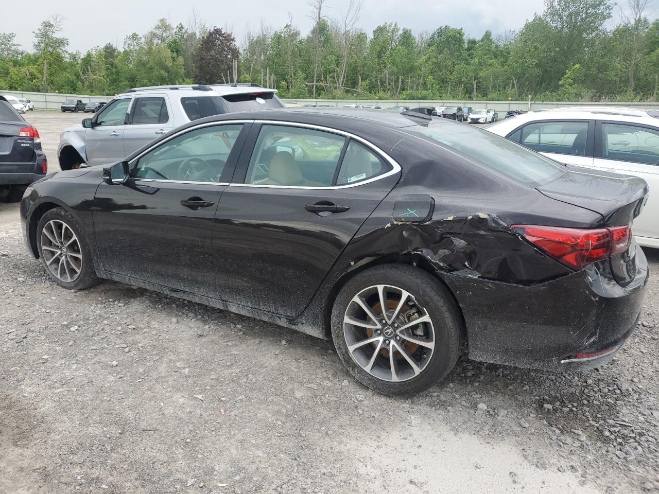 19UUB2F57FA012645 2015 Acura Tlx Tech