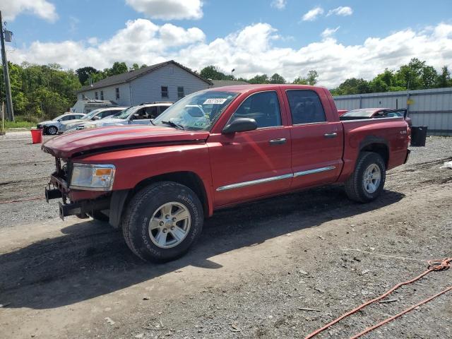 Lot #2540511550 2008 DODGE DAKOTA QUA salvage car