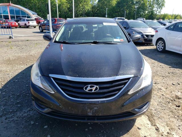 2011 Hyundai Sonata Gls VIN: 5NPEB4AC1BH202237 Lot: 57226004