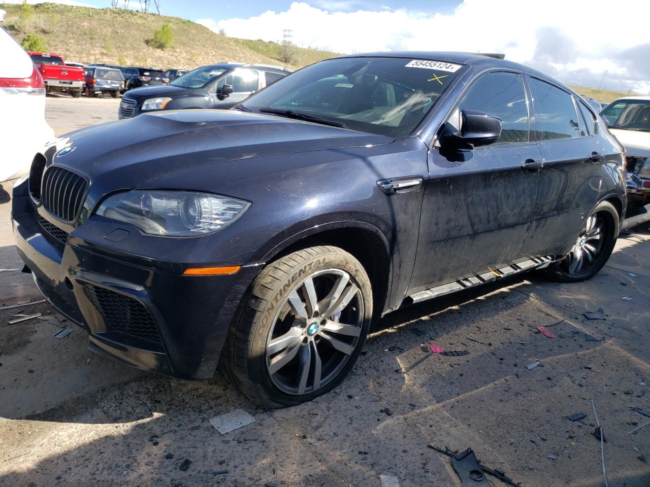 5YMGZ0C52DLL30133 2013 BMW X6 M