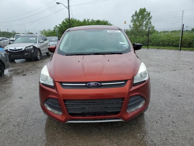 2014 Ford Escape Se VIN: 1FMCU0GX5EUD43502 Lot: 54666874