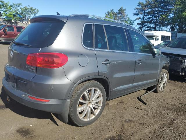 2013 Volkswagen Tiguan S VIN: WVGBV3AX1DW614030 Lot: 55588884