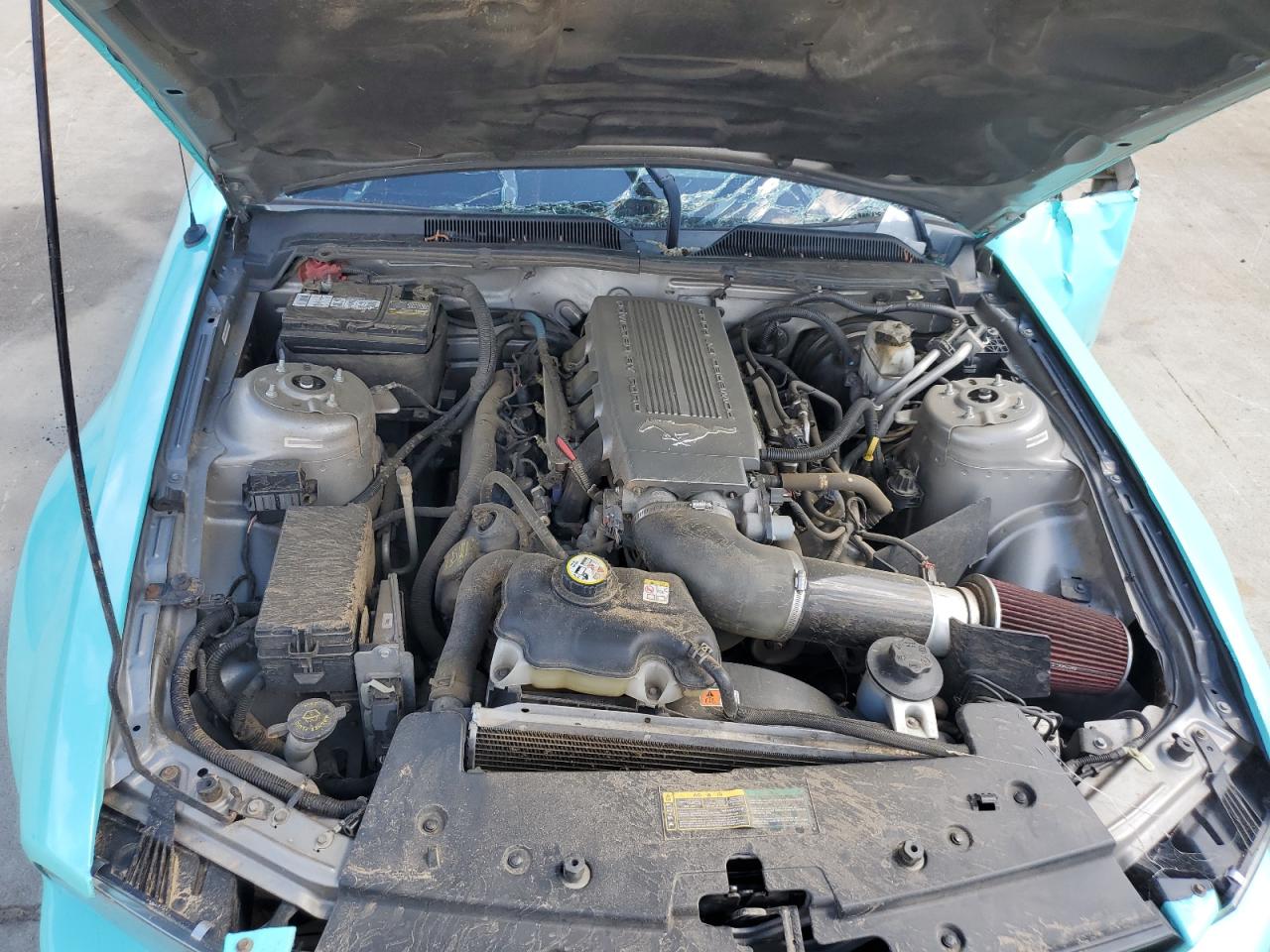 1ZVHT82H295116020 2009 Ford Mustang Gt