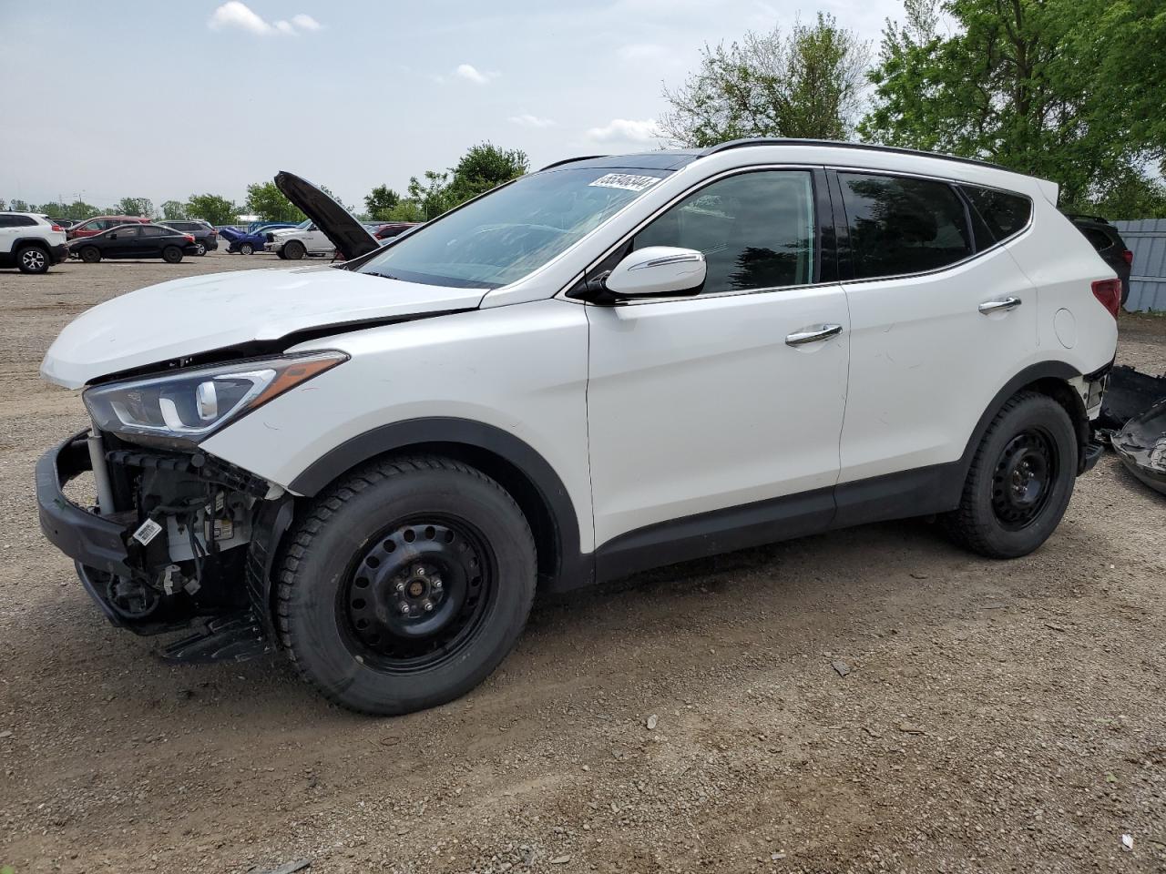 5XYZUDLB3HG455365 2017 Hyundai Santa Fe Sport