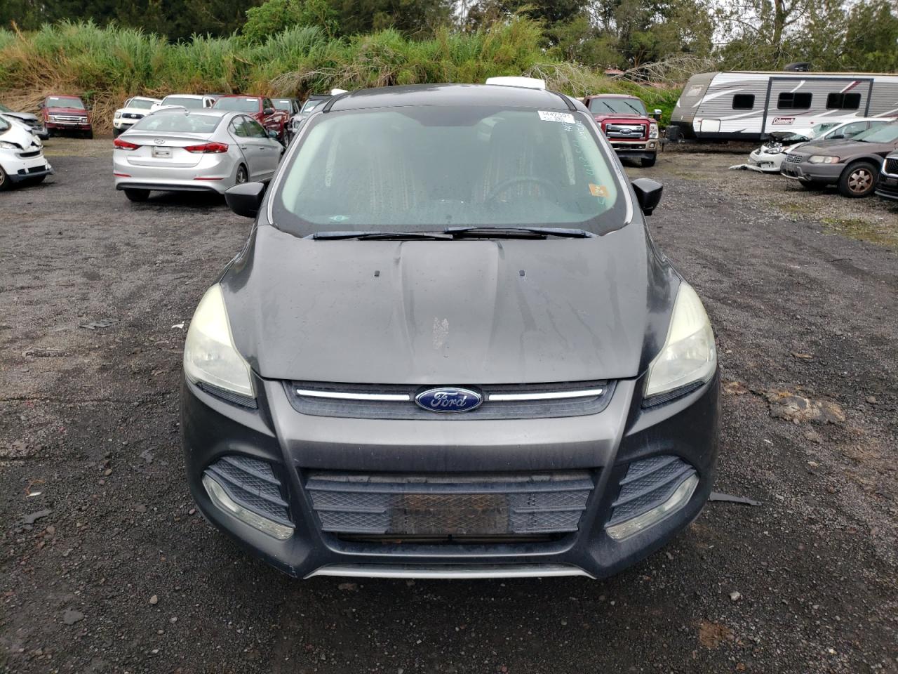 Lot #2824334998 2016 FORD ESCAPE SE