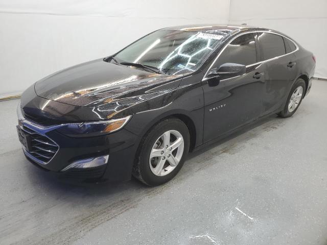 Lot #2540200734 2023 CHEVROLET MALIBU LS salvage car