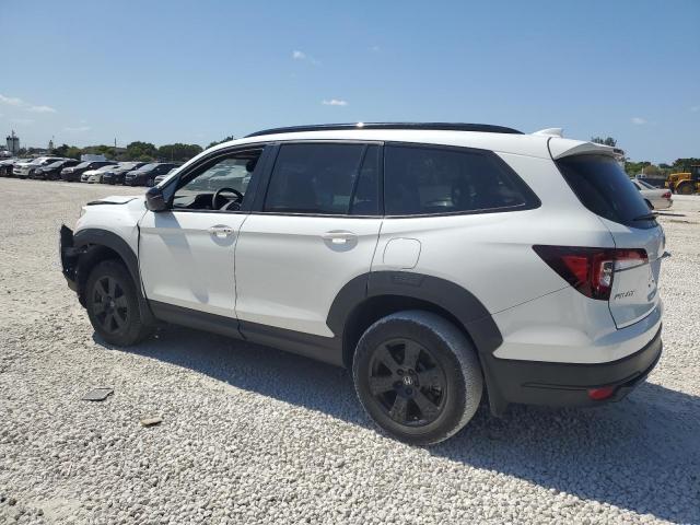 2022 HONDA PILOT TRAI 5FNYF6H80NB057080
