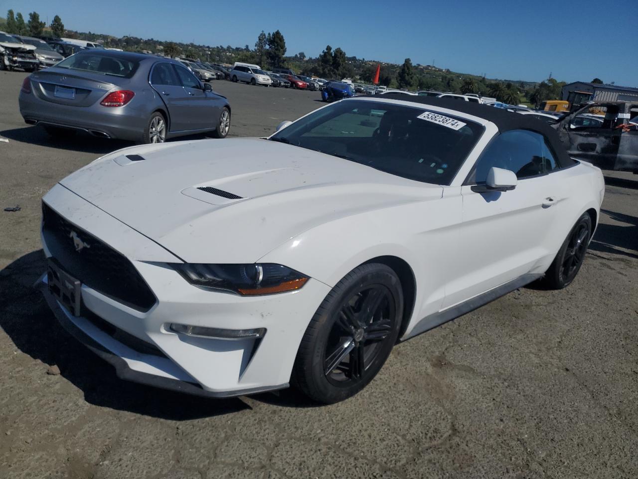 2019 Ford Mustang vin: 1FATP8UH0K5171009