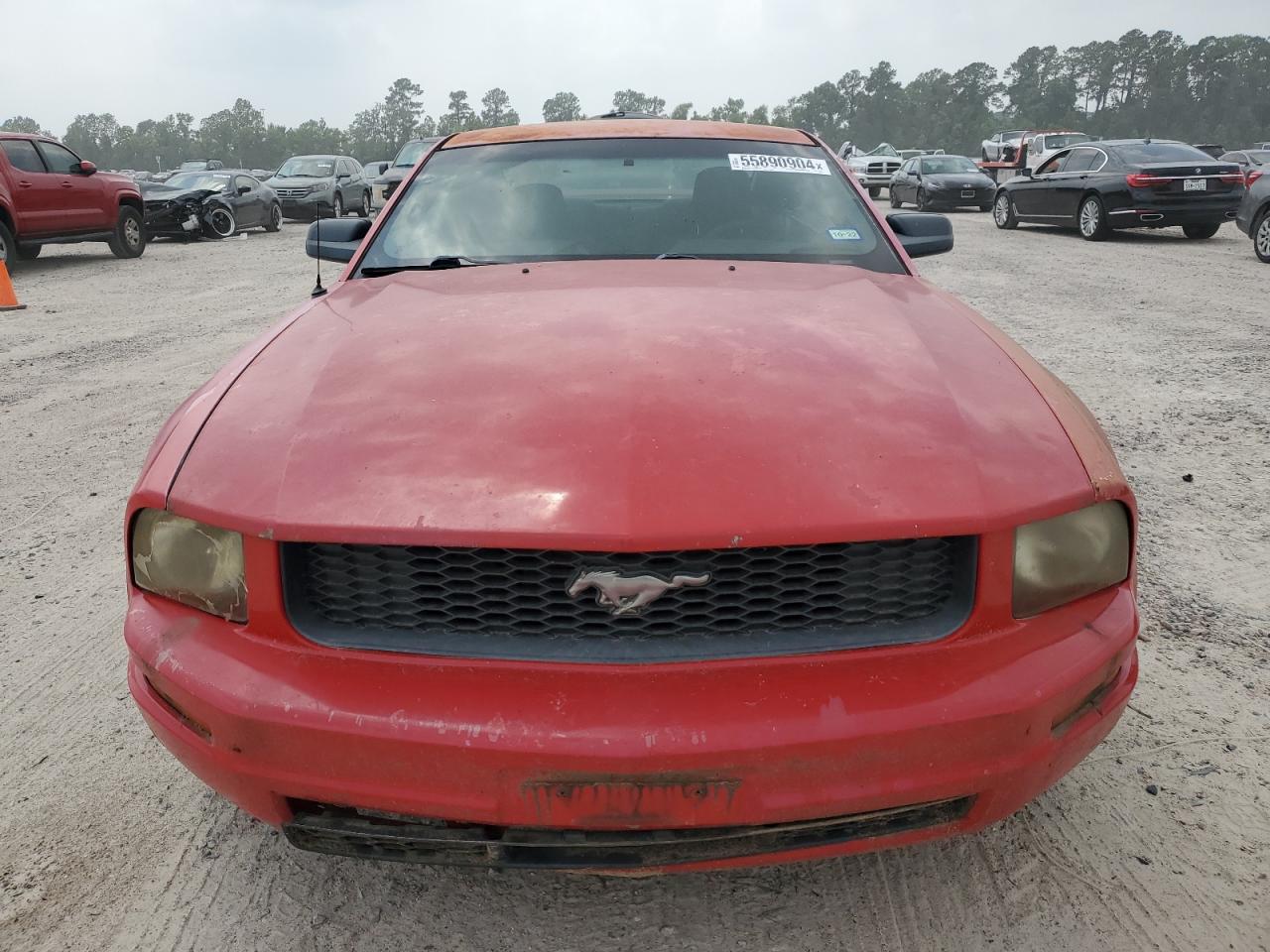 1ZVFT80N955133018 2005 Ford Mustang