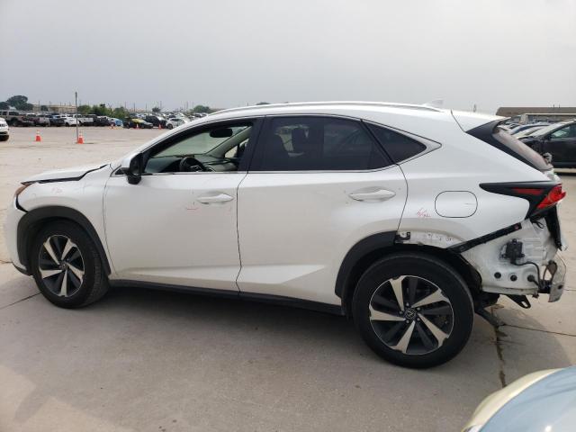 2019 LEXUS NX 300 JTJYARBZ0K2133278