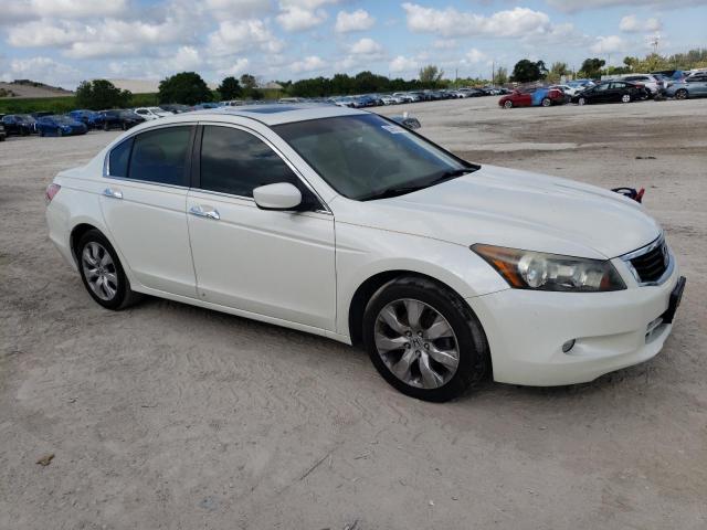 2009 Honda Accord Exl VIN: 1HGCP36839A045076 Lot: 54921244