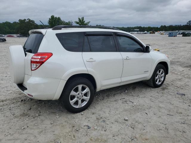 2009 Toyota Rav4 Limited VIN: JTMZK31V595025411 Lot: 54901094