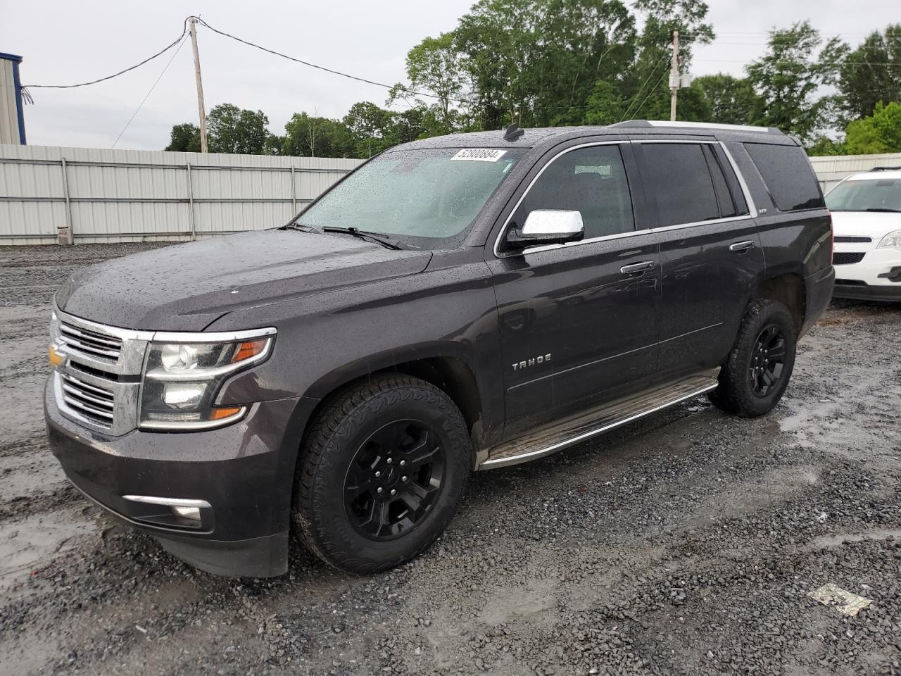 Lot #2589666643 2015 CHEVROLET TAHOE C150