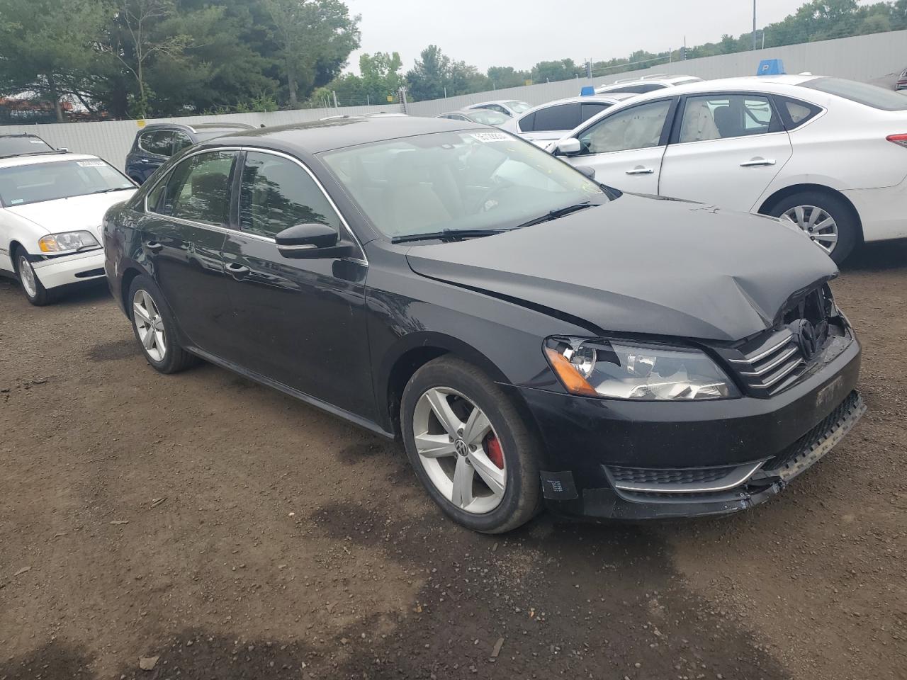 1VWBP7A34DC024678 2013 Volkswagen Passat Se