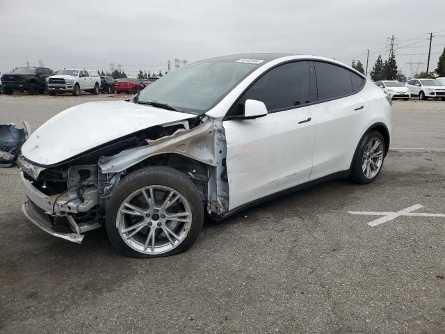 5YJYGDEE4MF071204 2021 Tesla Model Y