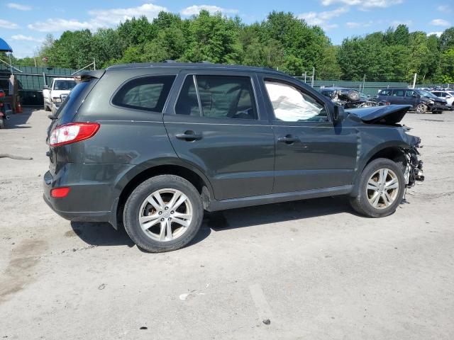 2010 Hyundai Santa Fe Se VIN: 5NMSHDAG7AH335231 Lot: 56463274