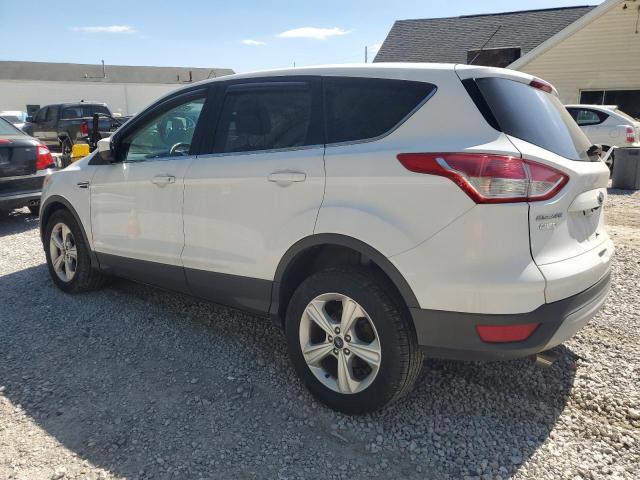 2014 Ford Escape Se VIN: 1FMCU0GX1EUD15017 Lot: 53224534