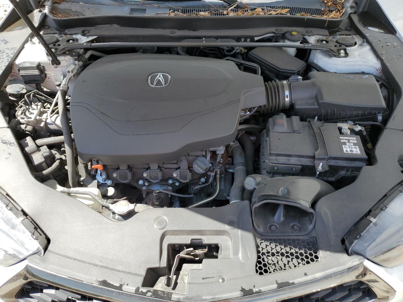 19UUB3F6XKA002166 2019 Acura Tlx Technology