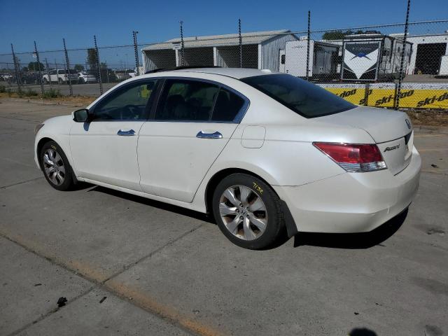 2008 Honda Accord Exl VIN: 1HGCP36888A056637 Lot: 53297344