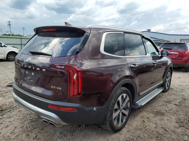 2021 Kia Telluride Sx VIN: 5XYP5DHC5MG162597 Lot: 55611134