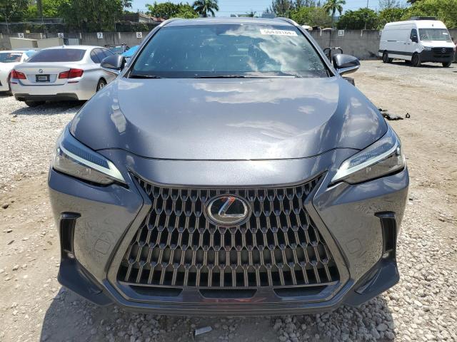 2023 LEXUS NX 250 2T2ADCAZXPC005645